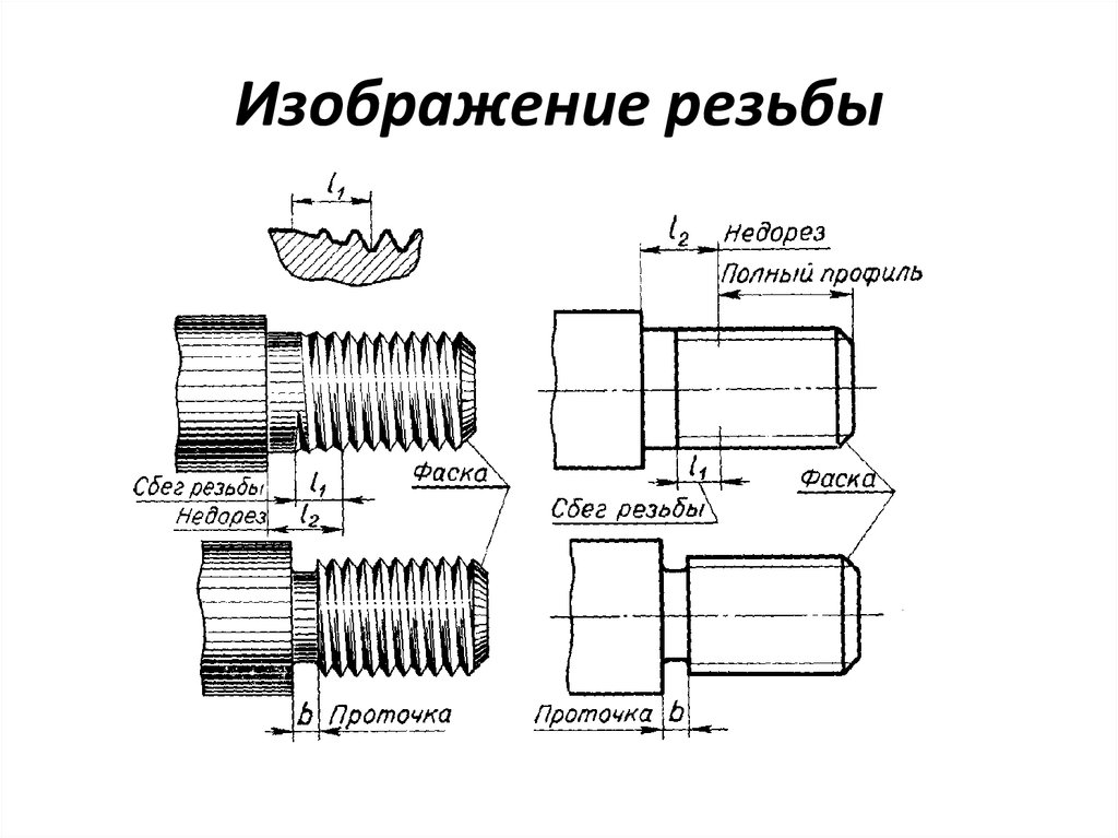 Выполните изображение резьбы и рифления