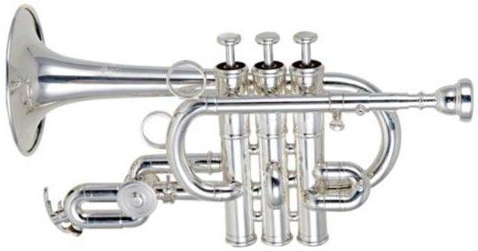 музыкальный инструмент труба как называется